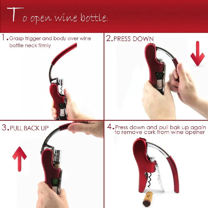 Professionele roestvrijstalen  - Wine In Beer Bottle recensie en prijs